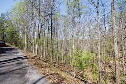 0 Laurel Trail, Suches, GA 30572 - Photo 9