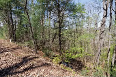 0 Laurel Trail, Suches, GA 30572 - Photo 3