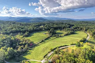 3967 Hwy 2, Epworth, GA 30541 - Photo 45