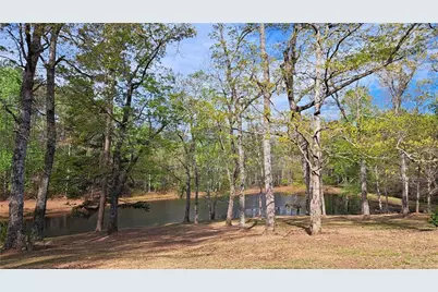 112 Brannon Road, Buchanan, GA 30113 - Photo 37