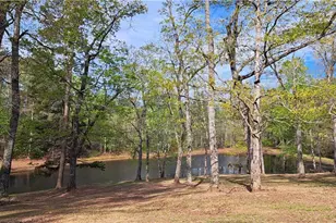 112 Brannon Rd, Buchanan, GA 30113 - Photo 37