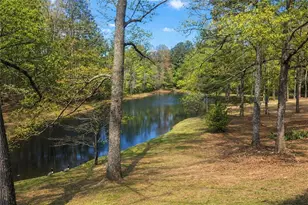 112 Brannon Rd, Buchanan, GA 30113 - Photo 39