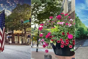 66 White Spruce Wy, Newnan, GA 30265 - Photo 5