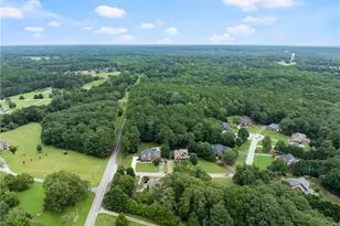 1503 Cleveland Ct, Loganville, GA 30052 - Photo 69