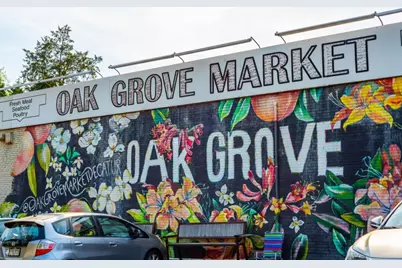 1775 Crestline Drive NE, Atlanta, GA 30345 - Photo 53