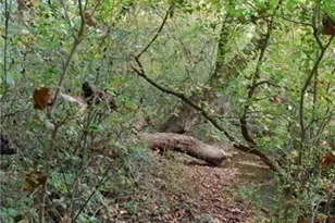 4271 Panthersville Rd, Ellenwood, GA 30294 - Photo 33