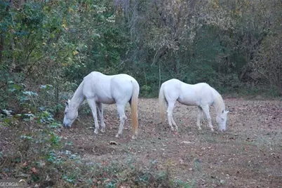 4271 Panthersville Road, Ellenwood, GA 30294 - Photo 15