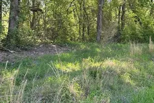 815 A J Irvin Rd, Talmo, GA 30575 - Photo 1