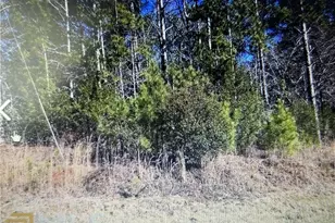 0 Deer Pointe Run Run, Lagrange, GA 30240 - Photo 1