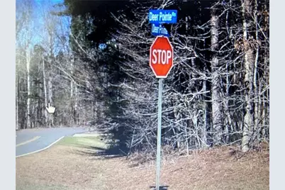 0 Deer Pointe Run Run, Lagrange, GA 30240 - Photo 3