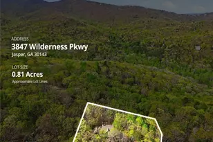 3847 Wilderness, Jasper, GA 30143 - Photo 41