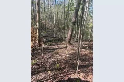 0 Heatherwood Way, Talking Rock, GA 30175 - Photo 3