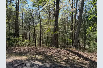 812 Horse Cove Court, Jasper, GA 30143 - Photo 5