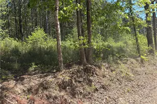 7500 Tyree Rd, Winston, GA 30187 - Photo 1