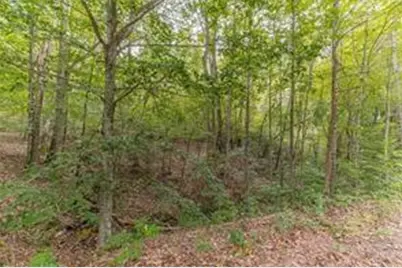 4033 Hidden Hollow Drive, Gainesville, GA 30506 - Photo 3