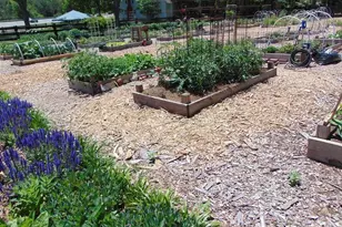 331 Harvest Trl, Hiram, GA 30141 - Photo 45