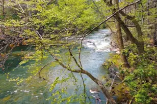 120 Bear Den Rd, Dahlonega, GA 30533 - Photo 11