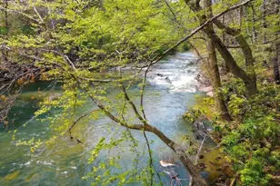 120 Bear Den Rd, Dahlonega, GA 30533 - Photo 63