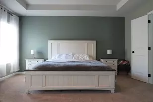 908 Daylilly Hill, Bremen, GA 30110 - Photo 13