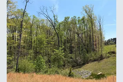 908 Daylilly Hill, Bremen, GA 30110 - Photo 3