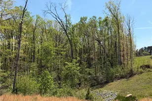 908 Daylilly Hill, Bremen, GA 30110 - Photo 3