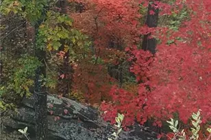 7451 Shady Glen Dr, Flowery Branch, GA 30542 - Photo 5