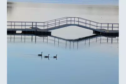 7451 Shady Glen Drive, Flowery Branch, GA 30542 - Photo 73