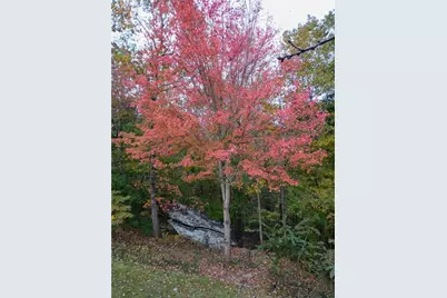 7451 Shady Glen Drive, Flowery Branch, GA 30542 - Photo 9