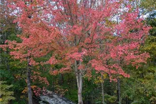 7451 Shady Glen Dr, Flowery Branch, GA 30542 - Photo 9