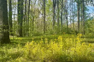 12005A Hutcheson Ferry Rd, Palmetto, GA 30268 - Photo 33