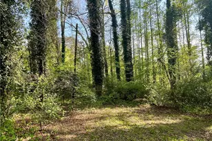 12005A Hutcheson Ferry Rd, Palmetto, GA 30268 - Photo 39