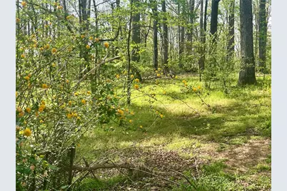 12005A Hutcheson Ferry Road, Palmetto, GA 30268 - Photo 49