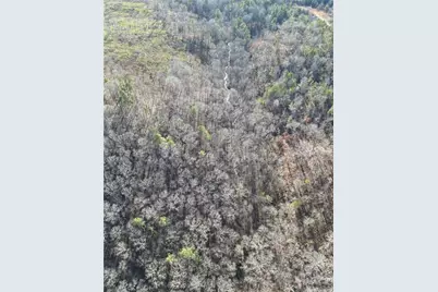 8555 Woodland Brooke Trail, Cumming, GA 30028 - Photo 35