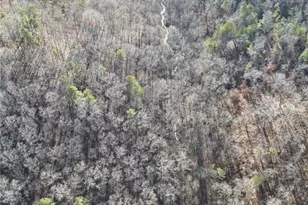 8555 Woodland Brooke Trail, Cumming, GA 30028 - Photo 35