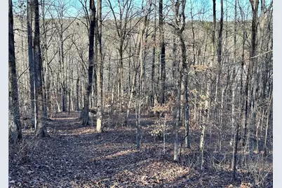 8555 Woodland Brooke Trail, Cumming, GA 30028 - Photo 23