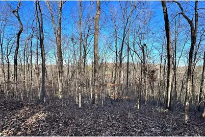 8555 Woodland Brooke Trail, Cumming, GA 30028 - Photo 9