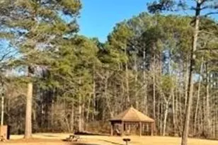 8555 Woodland Brooke Trail, Cumming, GA 30028 - Photo 39