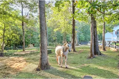 2203 Arbor Hill, Canton, GA 30115 - Photo 19