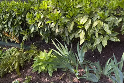 512 Williamsburg Drive, Dalton, GA 30720 - Photo 57