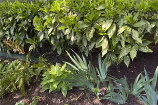 512 Williamsburg Dr, Dalton, GA 30720 - Photo 57