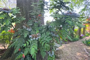 512 Williamsburg Dr, Dalton, GA 30720 - Photo 31