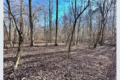 8555 Woodland Brooke Trail, Cumming, GA 30028 - Photo 19