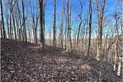 8555 Woodland Brooke Trail, Cumming, GA 30028 - Photo 7