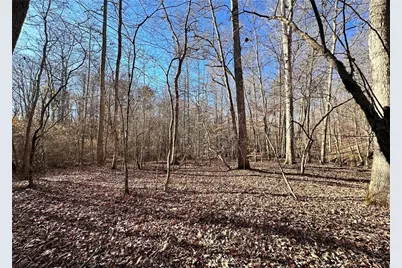 8555 Woodland Brooke Trail, Cumming, GA 30028 - Photo 21