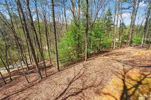 1858 Newport Dr, Ellijay, GA 30540 - Photo 39