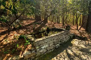 70 Doe Run, Sautee Nacoochee, GA 30571 - Photo 9