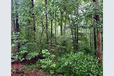 324 Sutallee Place, White, GA 30184 - Photo 29