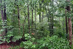 324 Sutallee Pl, White, GA 30184 - Photo 29