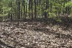 1354 Hunter Dr, Ranger, GA 30734 - Photo 1