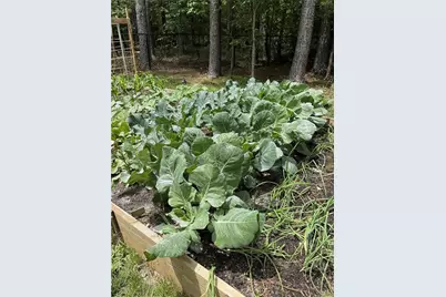 287 Bell Loop, Chatsworth, GA 30705 - Photo 31